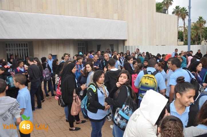 joboa shamela (23).JPG